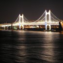 서민갈매기 이미지