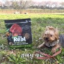 하림유통 | 강아지사료 고민 끝! 기호성 좋은 하림펫푸드 더리얼 그레인프리 크런치 급여 후기