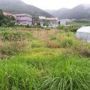 한국도로공사 산인영업소 이미지