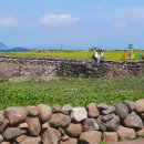 신화로L 이미지