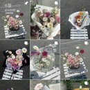 메아모