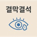 아이프리안경 | 눈에 이물감이 신경 쓰일 때, 수술 전에 할 수 있는 간단한 관리 루틴