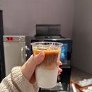 도쿄 긴자 숙소 추천｜카락사 호텔 프리미어 도쿄 긴자 솔직 후기 (돈키호테 10초 거리!)