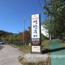 제주꽃돼지 이미지