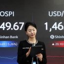 코스피, ‘마진콜 쇼크’에 5000선 붕괴…개인 4.5조원 방어에도 역부족 이미지