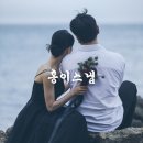 청호탕 | 홍이스냅 부산 야외웨딩 촬영 솔직후기