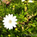 한양대탑수정태권도 이미지