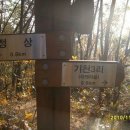 아랫기천 이미지