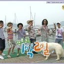 1박 2일 시리즈중 가장 재밌었던 시즌은? 이미지