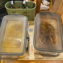 미시엔 | 광화문 직장인 점심 맛집, 광화문미시엔 웨이팅 내돈내산 솔직 후기