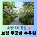 행복한 정원 | [보령 여행] 조팝나무 꽃길이 아름다운 &#34;보령 무궁화 수목원&#34; 행복한 방문 후기