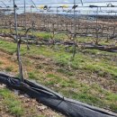 화동농장 이미지