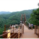 좌구산자연휴양림 이미지