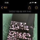 오리클 사주 예약, 가격 등 후기