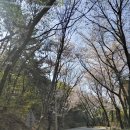 병풍암 앞 화장실 이미지