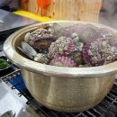 가보세 | 보령맛집/ 보령 굴 맛집, 천북굴단지 청주 가보세 다녀온 후기