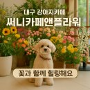 써니카페앤플라워
