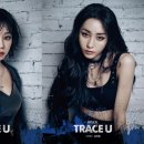 트레이스 이미지