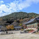 Beethoven: Symphony No. 5(베토벤, 교향곡 5번 운명) 이미지