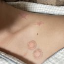 시크릿피티스튜디오(석사점) | [Body Profile] 첫 바디프로필 끝! 79일간의 기록❤️‍🔥(feat. 와이투짐신구대점 변화스튜디오 루아선메이크업)