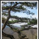 이윤 농장 이미지