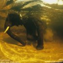 노을향기 이미지