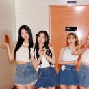 팝더태그