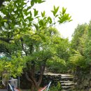 애월 더 민박 이미지