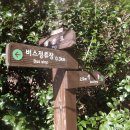 어등산호남대 이미지