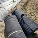 신형농장 이미지