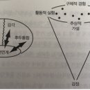 전두상회