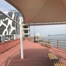 포항수협송도활어회센터 이미지