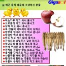 감기와의 전쟁과 사계절 온열기~기감이란?(02) 이미지