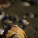 안면도바다풍경 이미지