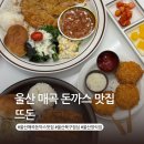 갓독 & 파스타 | 울산 매곡 돈까스 맛집 뜨돈 양식집 북구 점심 추천