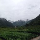 느릅농장 이미지