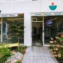 포케올데이배곧 이미지