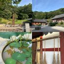 대원사 | 산청 대원사 템플스테이 휴식형 후기 공양 계곡 등