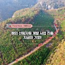 산림개발 이미지