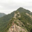 2020-주129 이미지