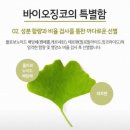 징코바이오 이미지