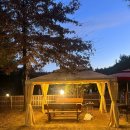 위드펫 빌리지 이미지