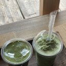 말차로 | 강릉 카페 추천 :: 말차로 내돈내산 후기 (완전 추천! + 귀여운 고양이도 있음)