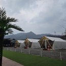 행주산정 | 계곡 옆이라 놀기 좋은 포천 글램핑장_더세븐 글램핑카라반