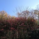 율곡수목원(1) 이미지