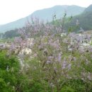 남악사지 이미지