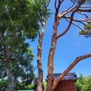 월천1리마을회관 이미지