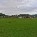 진천전화판매
