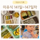삼색두부볼 아기유과 약과 꼬치없는 꼬치전 등 아기간식만들기 후기이유식 141일~147일차