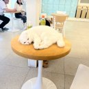 미어켓파크 이미지